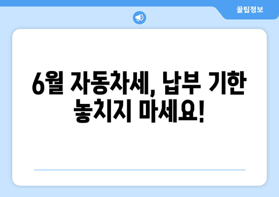 6월 자동차세, 납부 기한 놓치지 마세요!