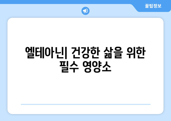 숙면을 위한 엘테아닌의 놀라운 효과| 깊은 잠, 편안한 휴식을 위한 솔루션 |  엘테아닌, 수면 개선, 스트레스 해소, 건강 정보