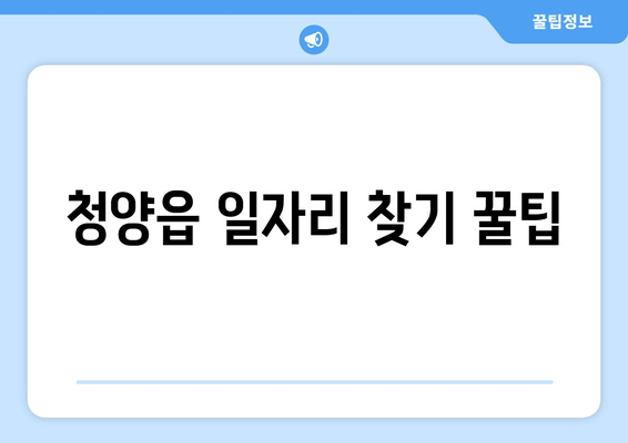 청양읍 일자리 찾기 꿀팁