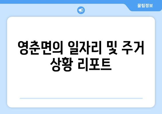 영춘면의 일자리 및 주거 상황 리포트