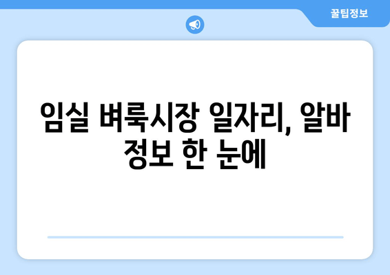 임실 벼룩시장 일자리, 알바 정보 한 눈에