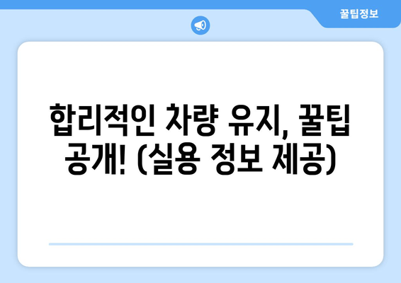 합리적인 차량 유지, 꿀팁 공개! (실용 정보 제공)