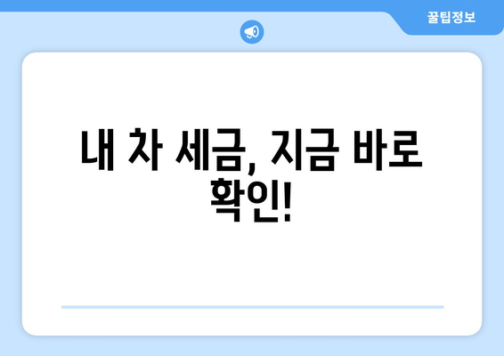 내 차 세금, 지금 바로 확인!