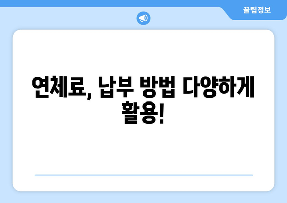 연체료, 납부 방법 다양하게 활용!