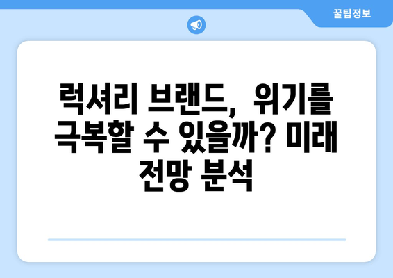 주식 기록 | 위기에 처한 럭셔리 브랜드 심층 분석| 투자 전략과 미래 전망 | 주식, 럭셔리, 투자, 위기