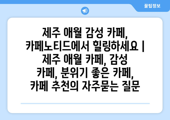 제주 애월 감성 카페, 카페노티드에서 힐링하세요 | 제주 애월 카페, 감성 카페, 분위기 좋은 카페, 카페 추천