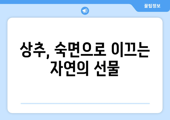 숙면을 위한 특급 비법! 상추의 놀라운 효능 | 수면 개선, 불면증, 상추 효능, 건강 정보