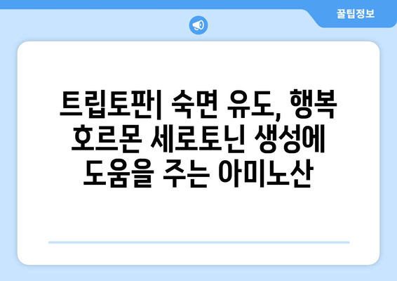 숙면을 위한 필수 영양제 5가지| 꿀잠을 부르는 비밀 | 수면 장애, 영양제, 멜라토닌, 마그네슘, 트립토판