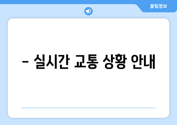 - 실시간 교통 상황 안내