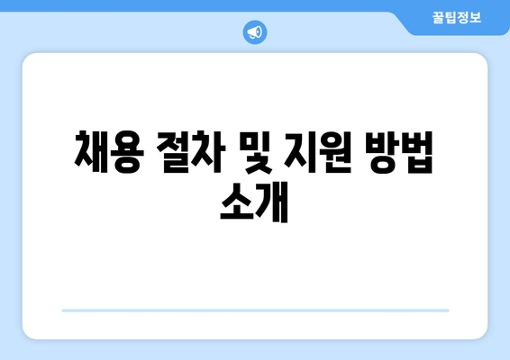 채용 절차 및 지원 방법 소개