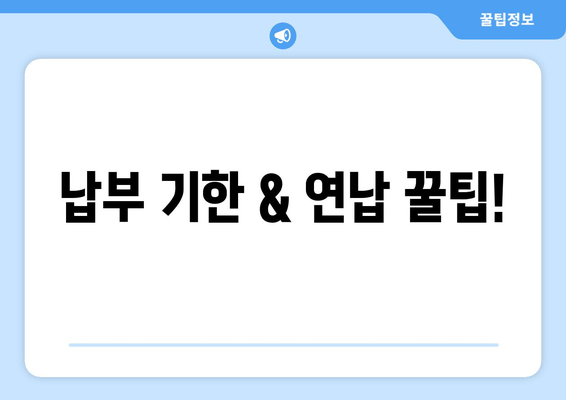 납부 기한 & 연납 꿀팁!