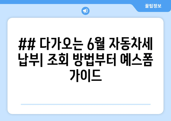 ## 다가오는 6월 자동차세 납부| 조회 방법부터 예스폼 가이드