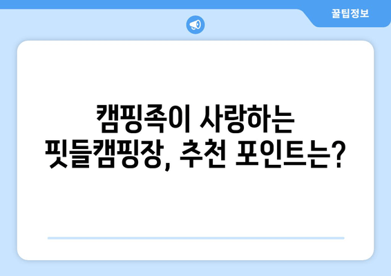 핏들캠핑장| 충북 영동군 근교 캠핑의 완벽 가이드 | 예약, 추천, 시설, 연락처, 물한계곡 캠핑