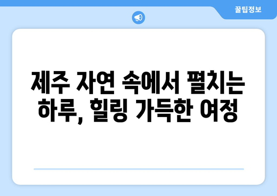 제주 자연생태공원 & 이어도승마장, 하루 완벽 코스! | 제주 여행, 가족 여행, 승마 체험, 자연 체험