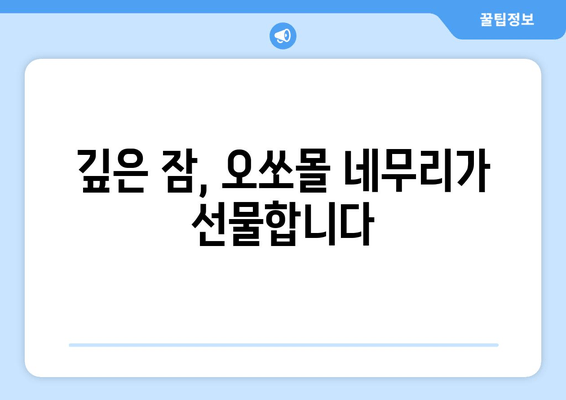 수면 장애 극복, 오쏘몰 네무리로 편안한 밤 되세요! | 독일 수면 개선 제품, 효능 및 사용 후기