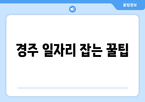 경주 일자리 잡는 꿀팁