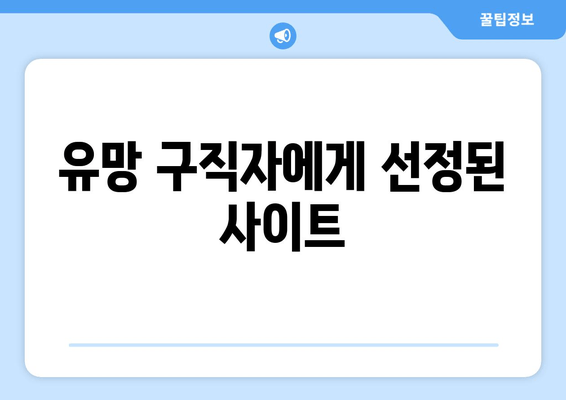 유망 구직자에게 선정된 사이트