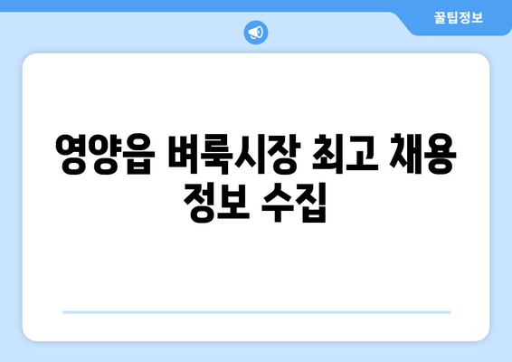 영양읍 벼룩시장 최고 채용 정보 수집