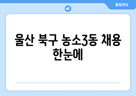 울산 북구 농소3동 채용 한눈에