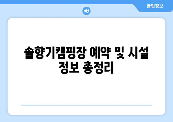 강릉 연곡해변 솔향기캠핑장| 동해안 솔숲과 백사장을 만끽하는 무장애 캠핑 | 강원도 근교 캠핑, 예약, 시설 정보, 추천