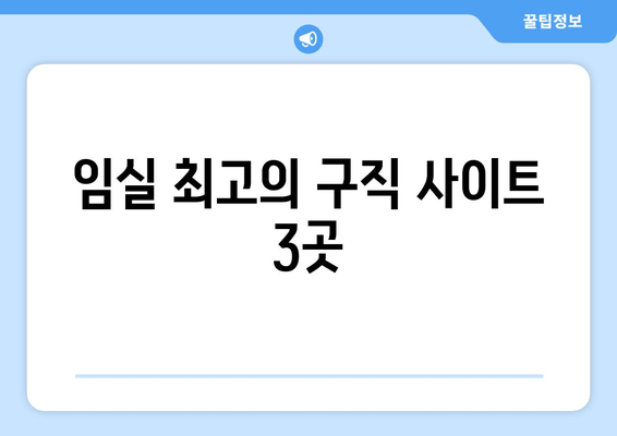 임실 최고의 구직 사이트 3곳
