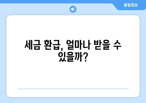 세금 환급, 얼마나 받을 수 있을까?
