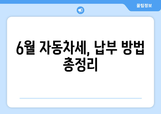 6월 자동차세, 납부 방법 총정리