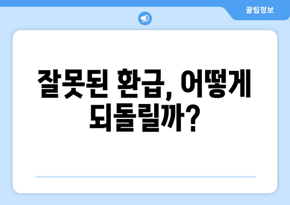 잘못된 환급, 어떻게 되돌릴까?