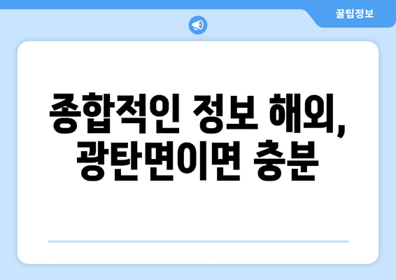 종합적인 정보 해외, 광탄면이면 충분