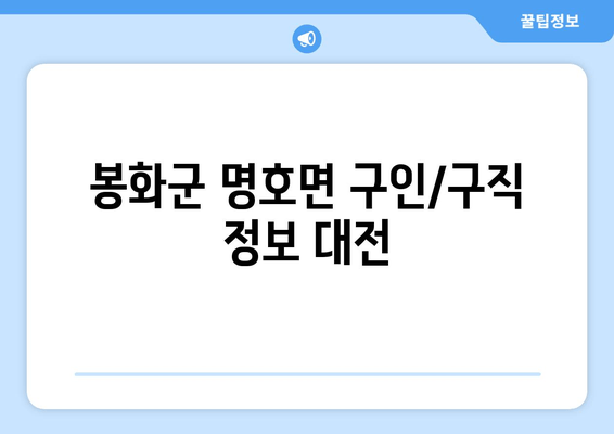 봉화군 명호면 구인/구직 정보 대전