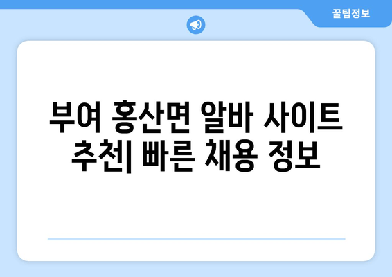 부여 홍산면 알바 사이트 추천| 빠른 채용 정보