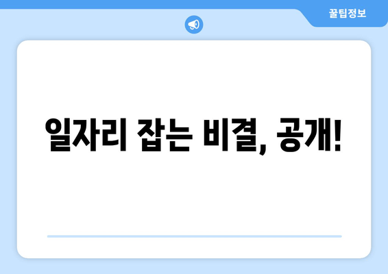 일자리 잡는 비결, 공개!