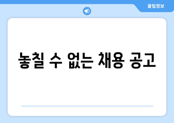 놓칠 수 없는 채용 공고