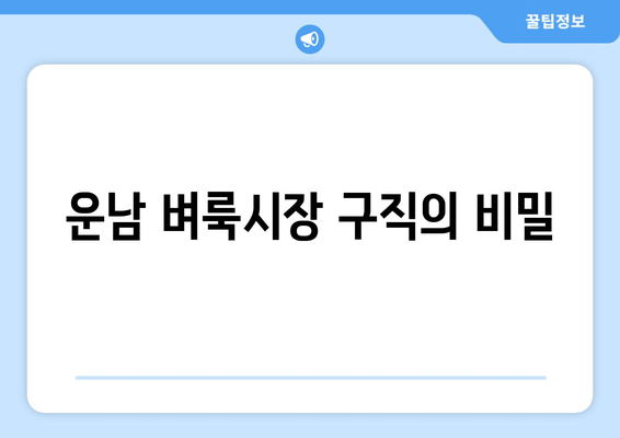 운남 벼룩시장 구직의 비밀