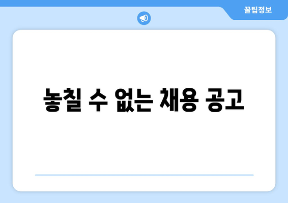 놓칠 수 없는 채용 공고