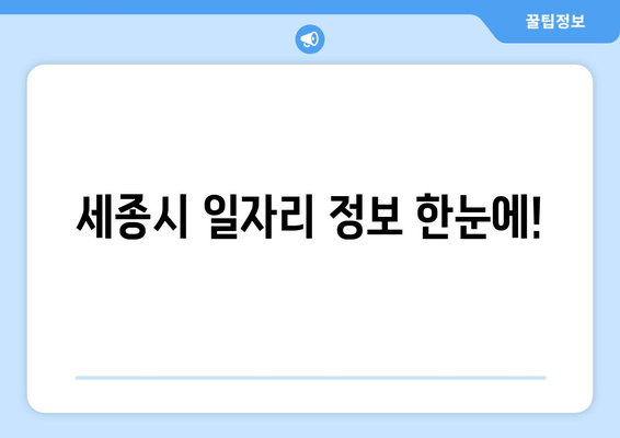 세종시 일자리 정보 한눈에!