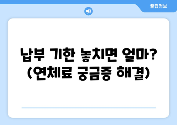 납부 기한 놓치면 얼마? (연체료 궁금증 해결)