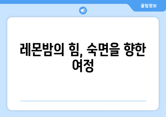 레몬밤 차, 숙면을 위한 선택| 차한마음 데일리 플러스로 편안한 밤 맞이하기 | 수면 개선, 허브차, 레몬밤 효능, 차한마음