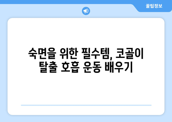 코골이 탈출! 밤새도록 편안한 수면, 코 안 고는 호흡 운동 | 수면 호흡 운동, 코골이 완화, 숙면 팁