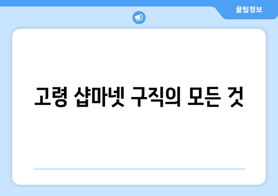 고령 샵마넷 구직의 모든 것