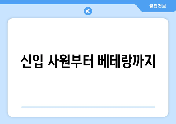 신입 사원부터 베테랑까지