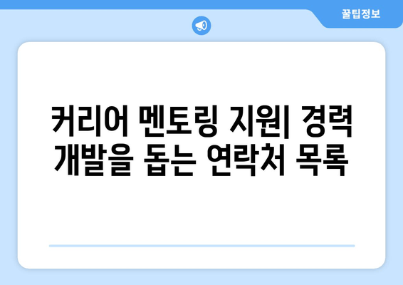 커리어 멘토링 지원| 경력 개발을 돕는 연락처 목록