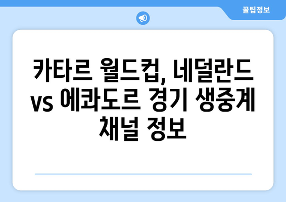네덜란드 vs 에콰도르, 카타르 월드컵 2022 경기 다시보기 & 하이라이트 | 생중계 채널, 경기 일정, 온라인 시청