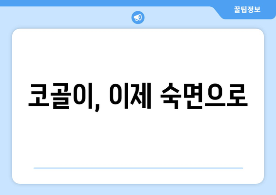 코 고는 소리, 이제 그만! | 수면호흡운동으로 코골이 증상 완화하기