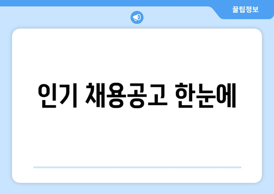 인기 채용공고 한눈에