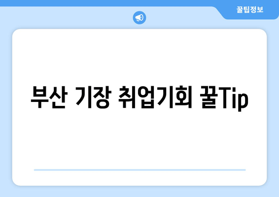 부산 기장 취업기회 꿀Tip