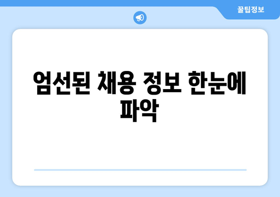 엄선된 채용 정보 한눈에 파악