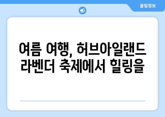 2024 허브아일랜드 라벤더 축제 완벽 가이드| 주차, 숙소, 맛집 정보부터 사진 명소까지 | 라벤더 향연, 이색 디저트, 여름 여행