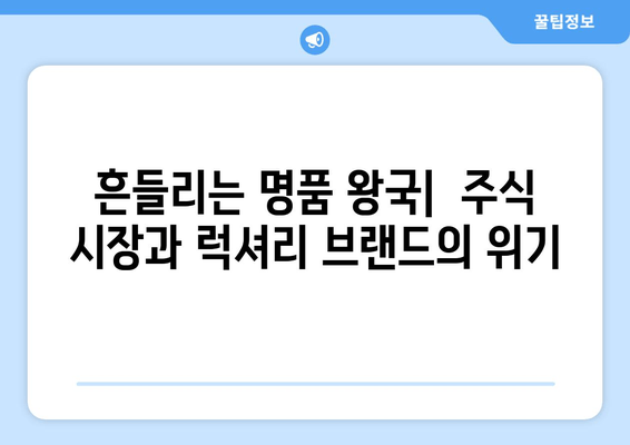주식 기록 | 위기에 처한 럭셔리 브랜드 심층 분석| 투자 전략과 미래 전망 | 주식, 럭셔리, 투자, 위기