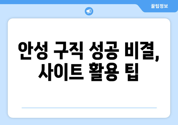 안성 구직 성공 비결, 사이트 활용 팁